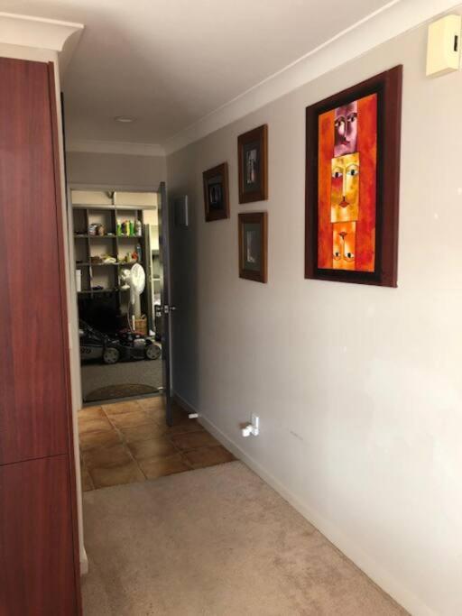 Sunny, Quiet, 2-Bedroom Unit In Fabulous Location! Cambridge Extérieur photo